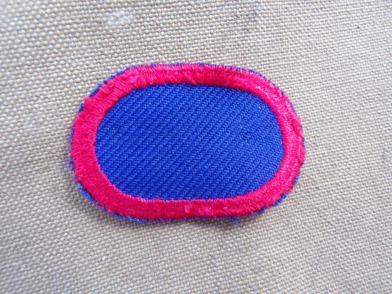 WW2 US 505th PIR 82nd Airborne Jump Wing Oval Backing